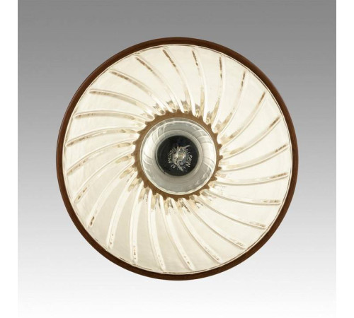 Подвесной светильник Lumion Mirabela 8051/1А