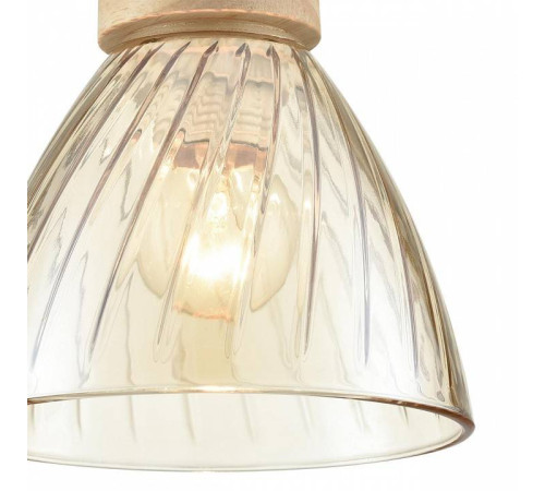 Подвесной светильник Lumion Mirabela 8051/1А