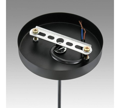 Подвесной светильник Lumion Leonela 8052/1А