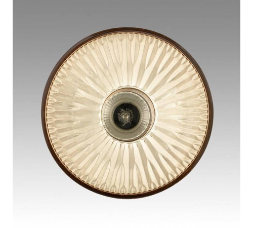 Подвесной светильник Lumion Natana 8054/1А