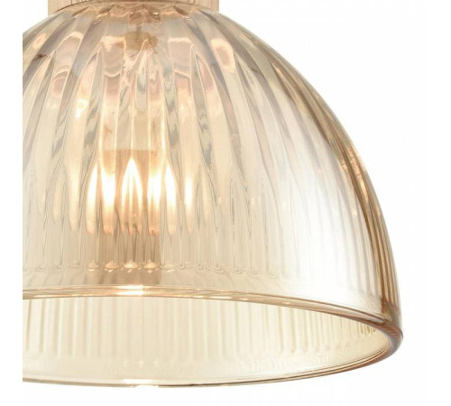 Подвесной светильник Lumion Natana 8054/1А