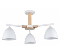 Люстра на штанге Lumion Colange 8095/3C