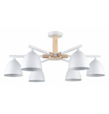 Люстра на штанге Lumion Colange 8095/6C