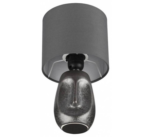 Настольная лампа декоративная Lumion Akivi 8147/1Т