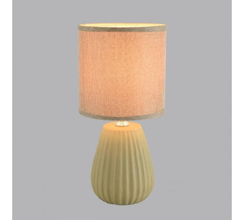 Настольная лампа декоративная Lumion ASELA 8160/1T