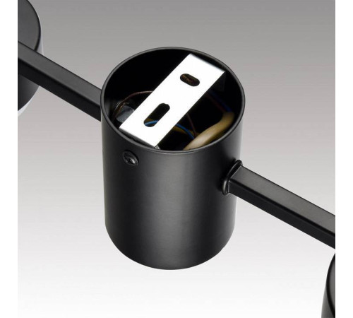 Накладной светильник Lumion Sanata 8187/6C