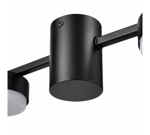 Накладной светильник Lumion Sanata 8187/6C