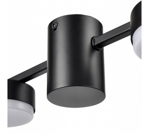 Накладной светильник Lumion Sanata 8187/8C