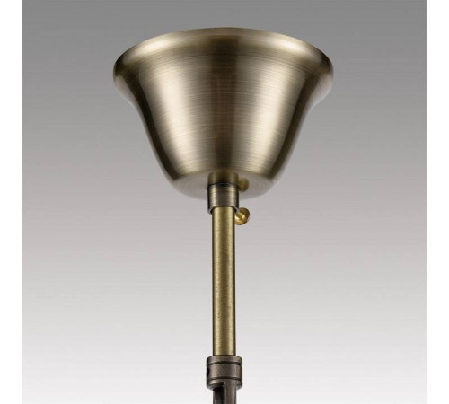 Подвесная люстра Lumion Linn 8190/5