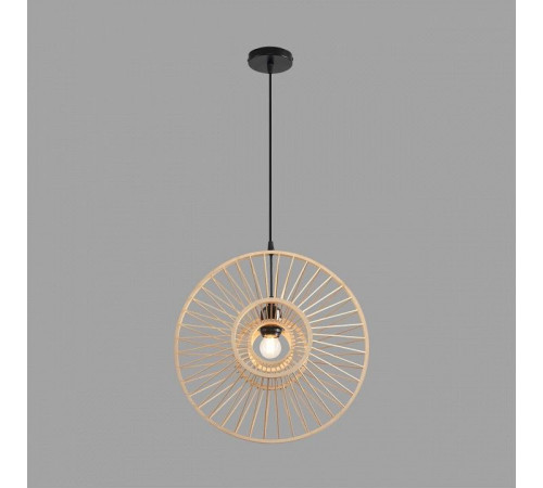 Подвесной светильник Lumion ECO 8383/1
