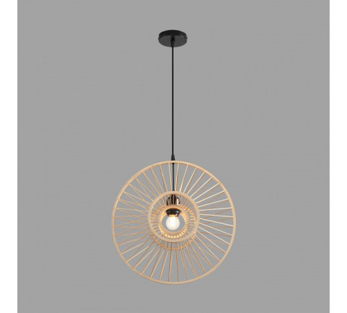 Подвесной светильник Lumion ECO 8383/1