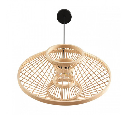 Подвесной светильник Lumion ECO 8383/1