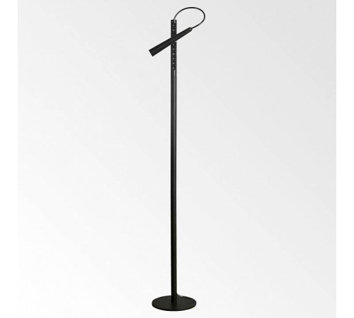 Торшер Lussole Dawson LSP-0576