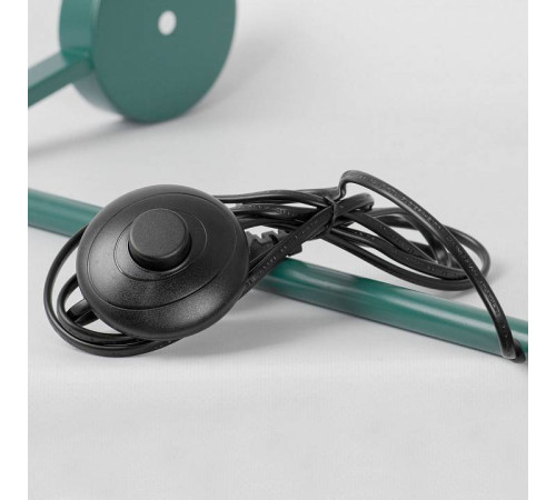 Торшер Lussole Boise LSP-0917