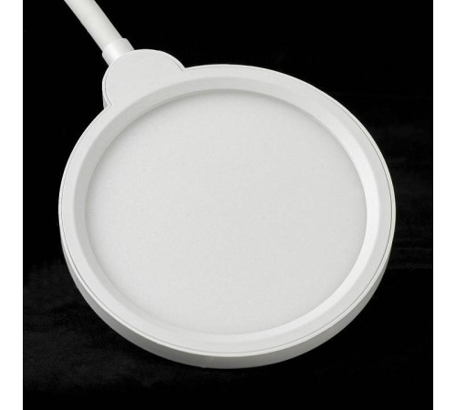 Торшер Lussole Amador LSP-0919