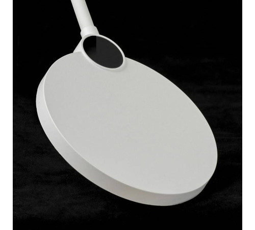 Торшер Lussole Amador LSP-0919