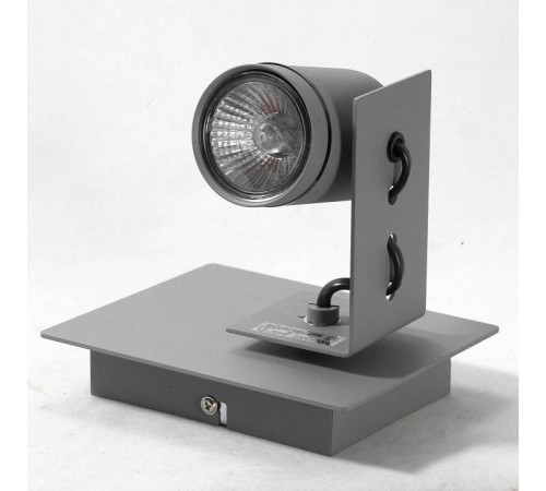 Спот Lussole Dillingham LSP-8022