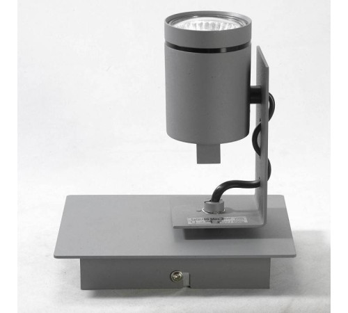 Спот Lussole Dillingham LSP-8022