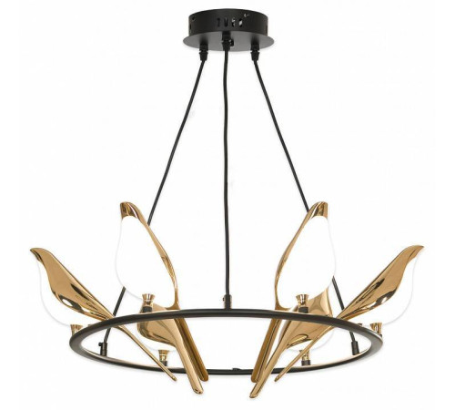 Подвесная люстра Lussole Jasper LSP-8641