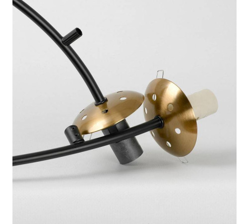 Подвесная люстра Lussole LSP-8889 LSP-8892