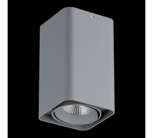 Накладной светильник Lightstar Monocco 052139-IP65