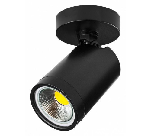 Светильник на штанге Lightstar Rullo 213407