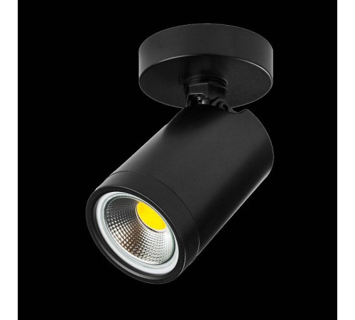 Светильник на штанге Lightstar Rullo 213407