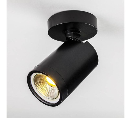 Светильник на штанге Lightstar Rullo 213407