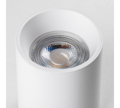 Накладной светильник Lightstar Rullo 213436