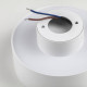 Накладной светильник Lightstar Acuto 215946