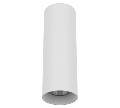 Накладной светильник Lightstar Rullo 216496