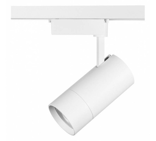 Светильник на штанге Lightstar Volta 229436