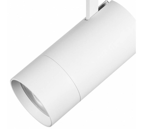 Светильник на штанге Lightstar Volta 229436