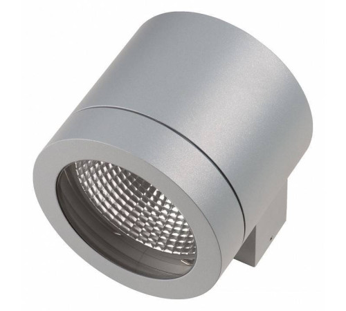 Накладной светильник Lightstar Paro 350619