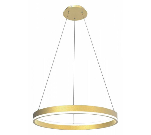 Подвесной светильник Lightstar Rotonda 736412