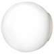 Светильник накладной Lightstar Globo 803010