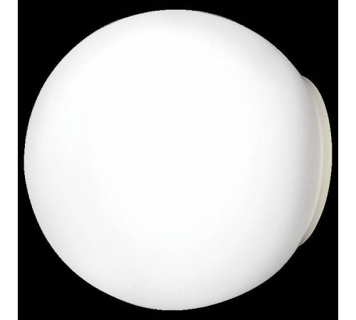 Светильник накладной Lightstar Globo 803010