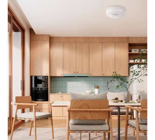 Накладной светильник Lightstar Celesta 809316