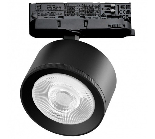 Светильник на штанге Lightstar Alta Pro A5537QT60G