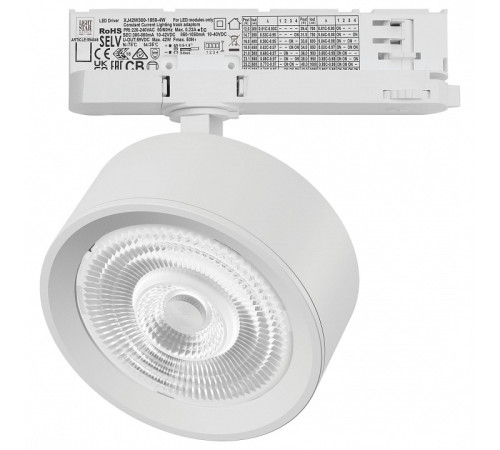 Светильник на штанге Lightstar Alta Pro A5636QT60G