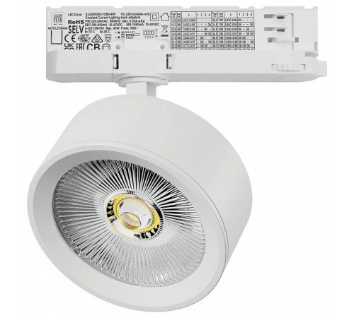Светильник на штанге Lightstar Alta Pro A5646QT