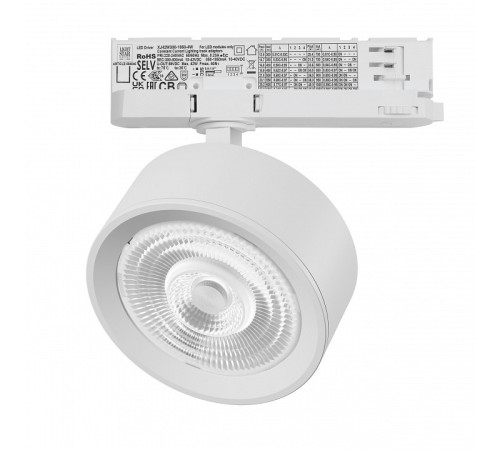 Светильник на штанге Lightstar Alta Pro A5646QT60G