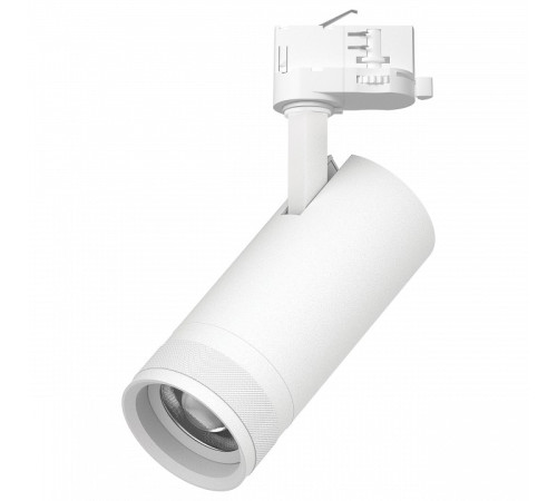 Светильник на штанге Lightstar Canno Pro C4206QT