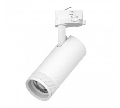Светильник на штанге Lightstar Canno Pro C4206QT