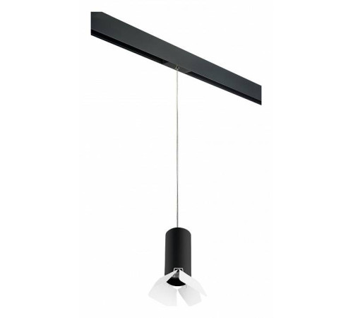 Подвесной светильник Lightstar Rullo Pro 1xGU10 черный/хром PRORP487436