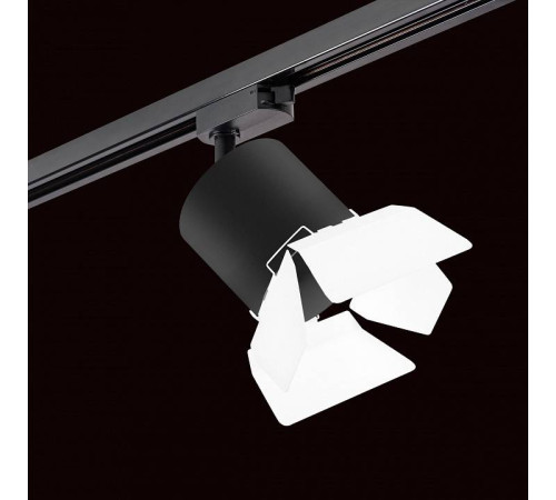 Светильник на штанге Lightstar Rullo R1T3487486