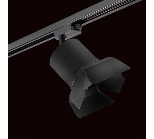 Светильник на штанге Lightstar Rullo R1T3487487