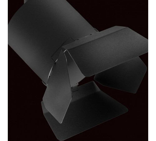 Светильник на штанге Lightstar Rullo R1T3487487