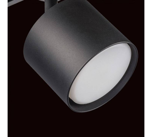 Светильник на штанге Lightstar Rullo R1T3487