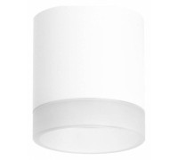 Накладной светильник Lightstar Rullo R348680